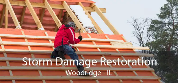 Storm Damage Restoration Woodridge - IL