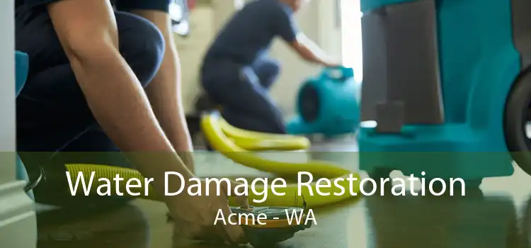 Water Damage Restoration Acme - WA