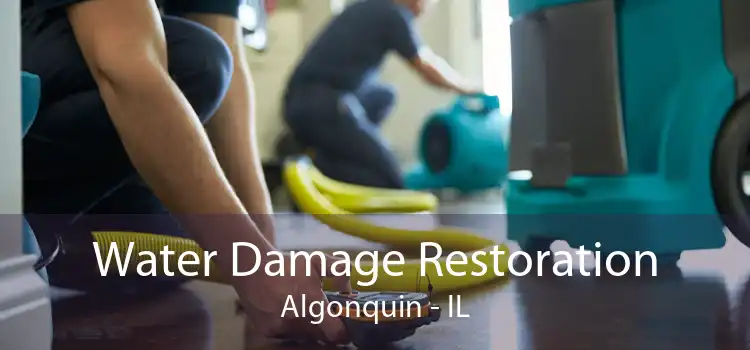 Water Damage Restoration Algonquin - IL
