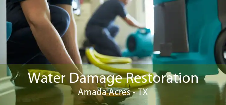 Water Damage Restoration Amada Acres - TX