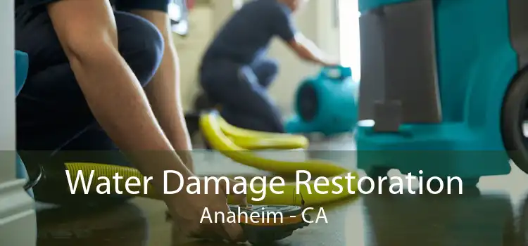 Water Damage Restoration Anaheim - CA