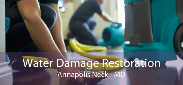 Water Damage Restoration Annapolis Neck - MD