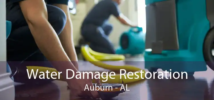 Water Damage Restoration Auburn - AL