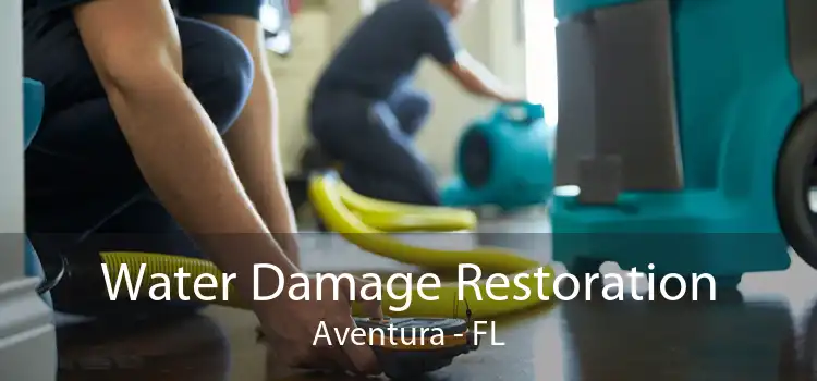 Water Damage Restoration Aventura - FL