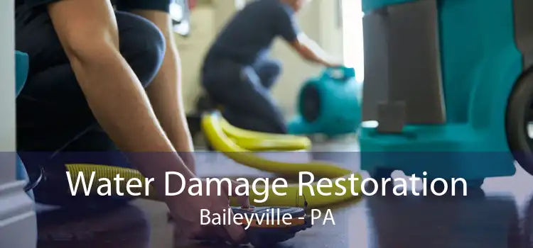 Water Damage Restoration Baileyville - PA