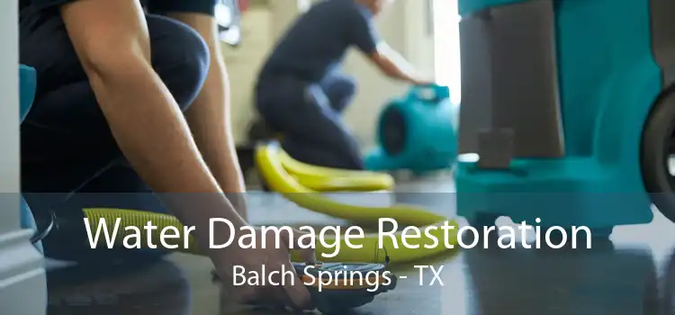 Water Damage Restoration Balch Springs - TX