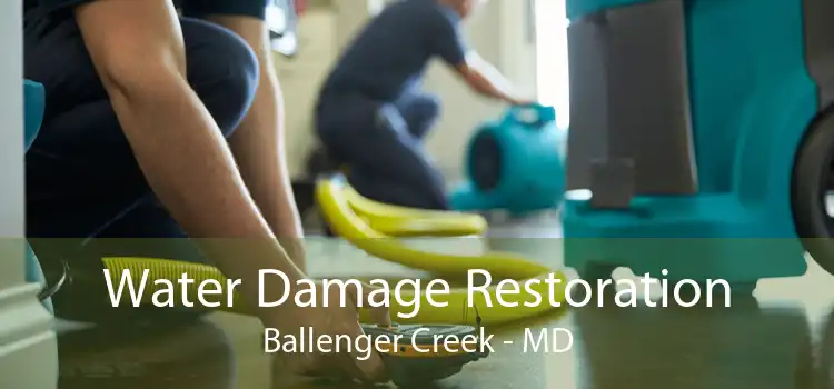 Water Damage Restoration Ballenger Creek - MD