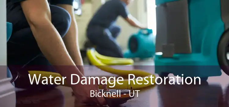 Water Damage Restoration Bicknell - UT