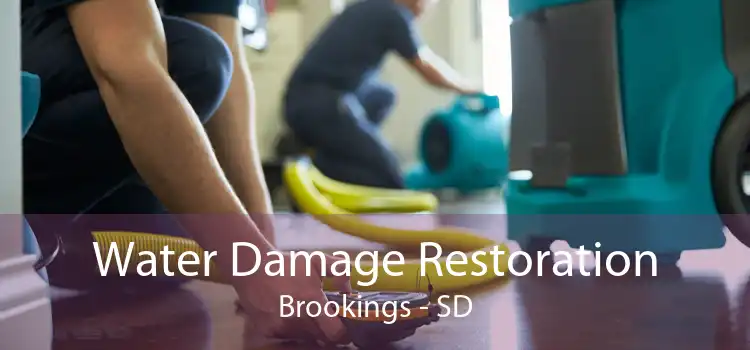 Water Damage Restoration Brookings - SD