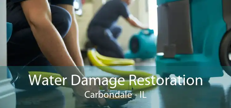 Water Damage Restoration Carbondale - IL