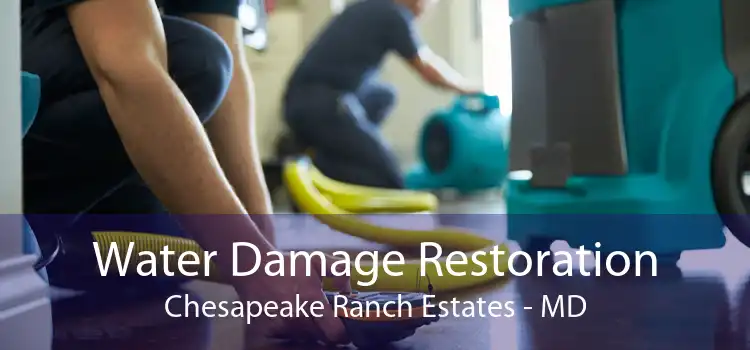 Water Damage Restoration Chesapeake Ranch Estates - MD