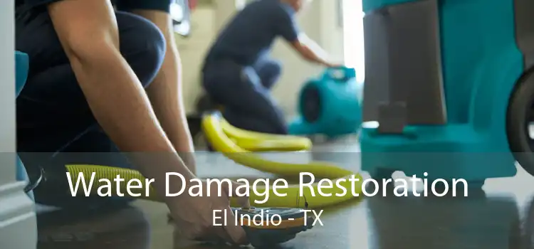 Water Damage Restoration El Indio - TX