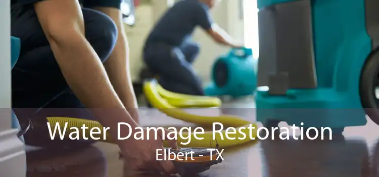 Water Damage Restoration Elbert - TX