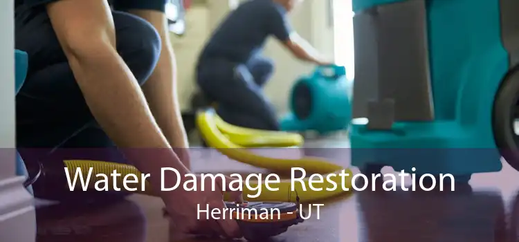 Water Damage Restoration Herriman - UT