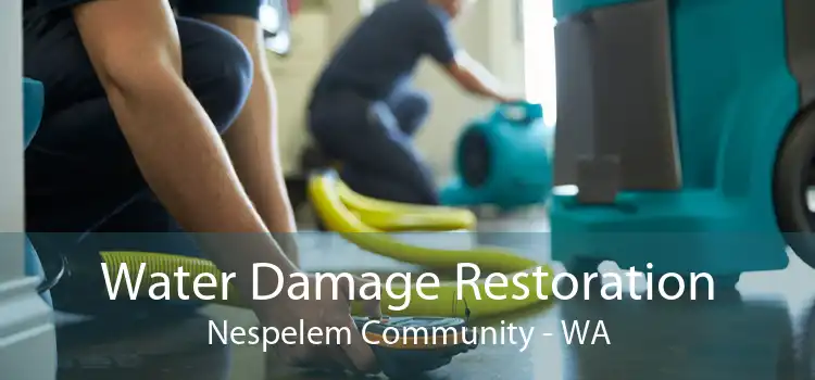 Water Damage Restoration Nespelem Community - WA