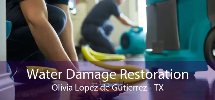 Water Damage Restoration Olivia Lopez de Gutierrez - TX