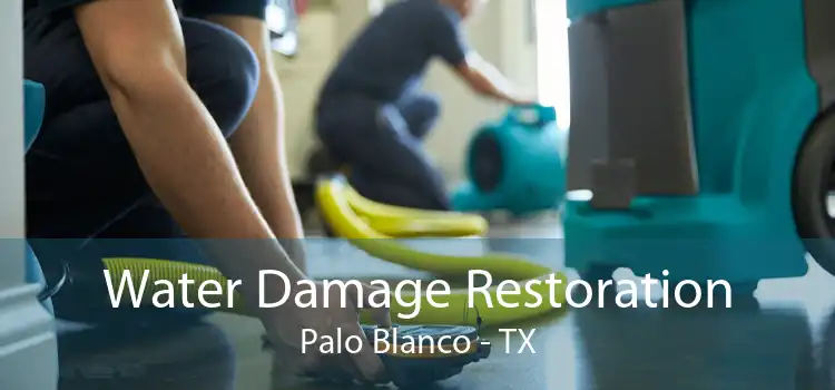 Water Damage Restoration Palo Blanco - TX