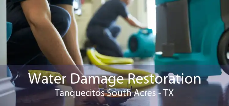 Water Damage Restoration Tanquecitos South Acres - TX